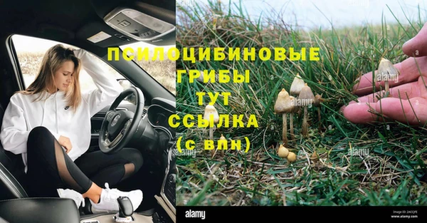 мдпв Балабаново