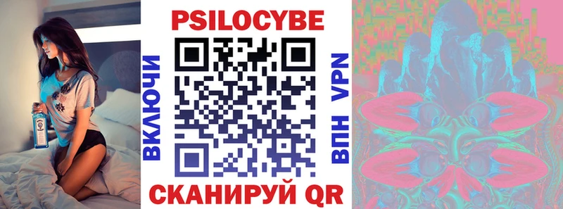 купить наркотики сайты  Казань  Галлюциногенные грибы мицелий 